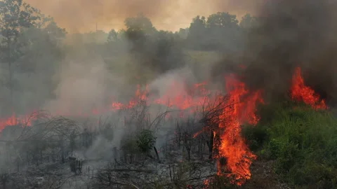 Tilt Down Aerial of Ravaging Peat Fire, Indonesia Stock Footage 142509019