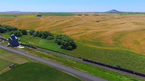A tilt down aerial shoot of a train passing through the Palouse wheat fields. Stock Footage 75024650