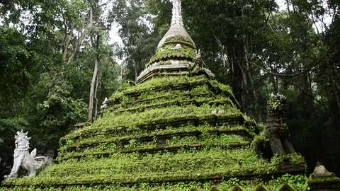 Tilt down ancient pagoda with mossy. 스톡 동영상 79745720