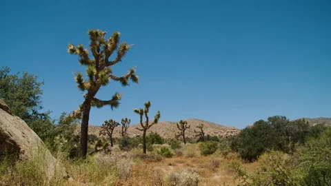 Tilt down on arid desert &amp; mountain foliage in the region above Yucca Valley Stock Footage 113298726