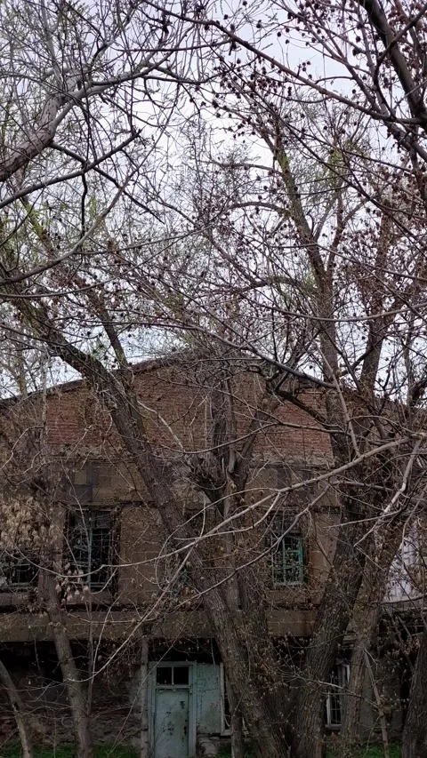 Tilt down from bare tree branches to an abandoned stone house Stock Footage 345667332