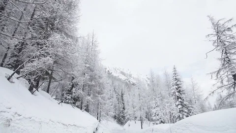 Tilt down on a black suv in deep snow Stock Footage 103223422