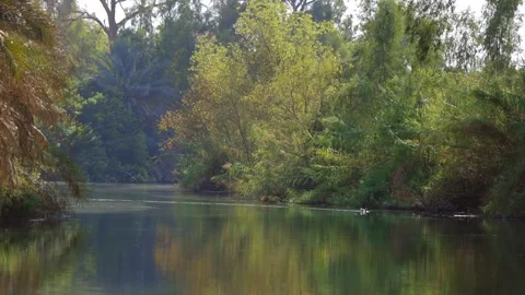 Tilt Down To Calm Jordan River In Galilee 動画素材 347753880