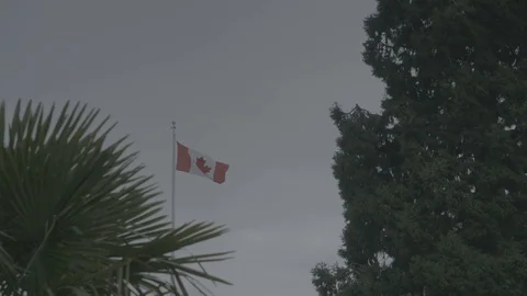 Tilt down Canadian flag pole to tourist walking Stock Footage 127044287