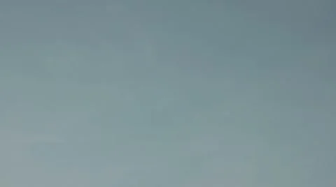 Tilt Down on Cherry Orchard Stock Footage 7764981