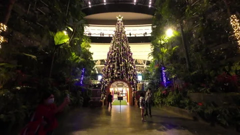 Tilt down christmas tree changi singapore jewel Stock Footage 165883168