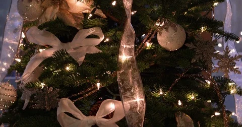 Tilt Down Christmas Tree Video stock 83100726