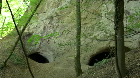 Tilt down a cliff face in a forest to reveal two cave entrances Stock Footage 209556454