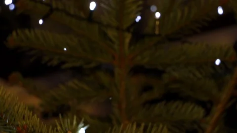 Tilt down, Close-Up of Christmas Tree with LED String Lights, Pulsing and Video stock 121461739