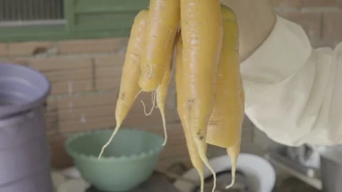 Tilt Down Close-up on Hands Holding Freshly Harvested Organic Carrots Stock Footage 320634663