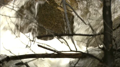 Tilt down close up of mountain stream rapids Stock Footage 87329134