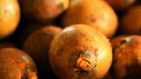 Tilt down close up shot of the fruit of coyol palm tree, on an oil Stock Footage 101690011