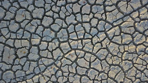 Tilt down to cracked dry mud empty lake Video stock 98616455