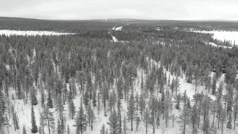 Tilt down drone shot in winter fine forest lapland scenery, sweden. Stock Footage 128434031