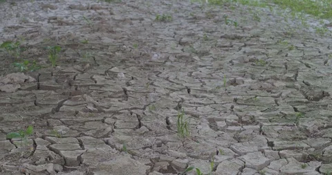 Tilt down of dry earth Stock Footage 89777098