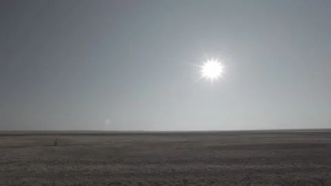 Tilt down in the field Stockbeeldmateriaal 146457019