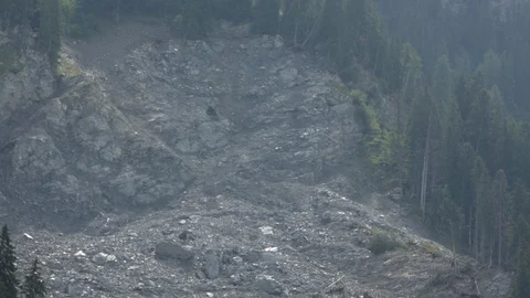 Tilt down forested mountainside to show damage from 2013 Val Parghera landslide Stock Footage 86757184