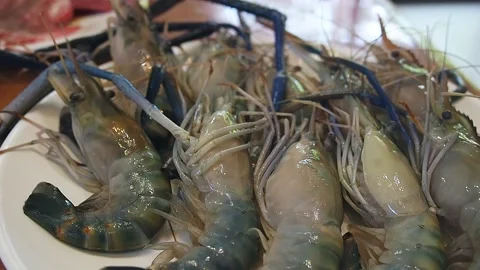 Tilt down of fresh shrimp on white dish in BBQ buffet restaurant. Video stock 155618962