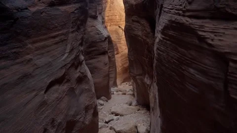 Tilt down handheld shot of a narrow rocky dirt hiking trail in the middle 動画素材 251635602