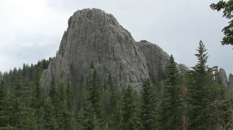 Tilt down from huge rock to trail into the forest Stock Footage 40576010