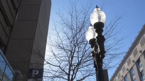Tilt-down from Lamppost to Downtown Boston Stock Footage 92643661