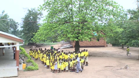 TILT DOWN FROM MASSIVE TREE TO STUDENTS GATHERED FOR MORNING ASSEMBLY Stock Footage 60115877
