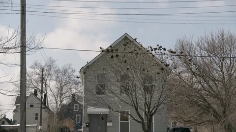 Tilt Down to Mid-West House in Winter, Cleveland, Ohio Stock Footage 89945000