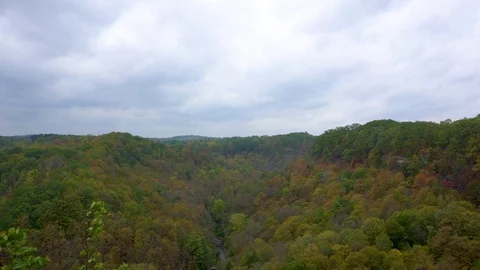 Tilt down over huge epic seasonal forrest seen from Dundas Peak Hamilton Canada  Stock Footage 82095480