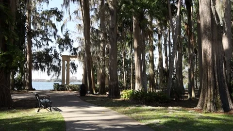 Tilt down push in shot at park Video stock 236586548