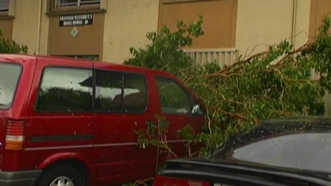 Tilt Down to Red SUV with Tree Branches On It Stock Footage 291000278