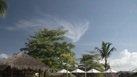 Tilt down to resort pool Stock Footage 113392455