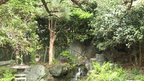 Tilt down revealing statue of Buddha in Japanese pond Stock Footage 86758954
