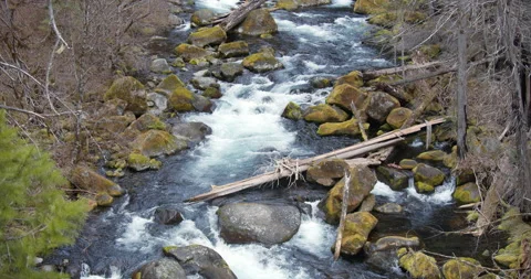 Tilt down on rushing river in Oregon Stock Footage 220932884