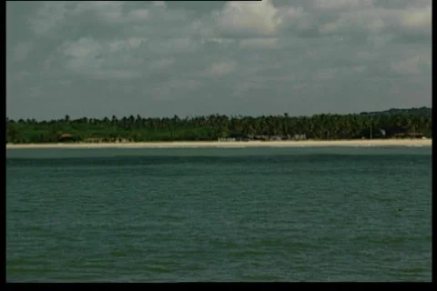 Tilt down to the sand Stock Footage 67481