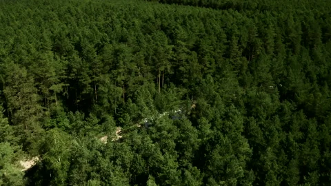 Tilt-down Shot Above A Two-Lane Road In The Middle Of The Green Fields Stock Footage 142004592