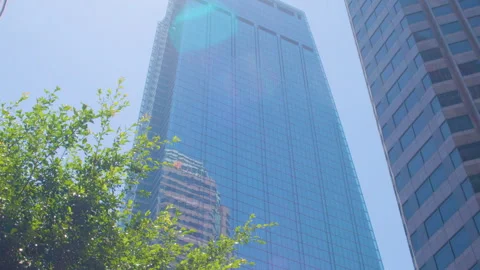 Tilt Down Shot Of A Modern Skyscraper with Glass Facade and Tree Video stock 293906425