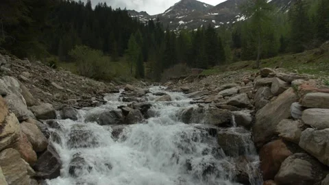 Tilt down shot of mountain stream Video stock 238007139