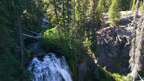Tilt down shot revealing waterfall in the woods Stock Footage 318476944