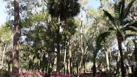 Tilt down shot through bushes at park Video stock 238039680