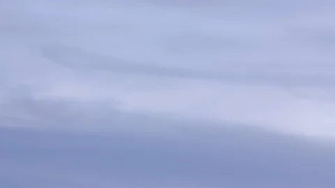 Tilt down on silhouette of red shouldered hawk on fence 스톡 동영상 122006380