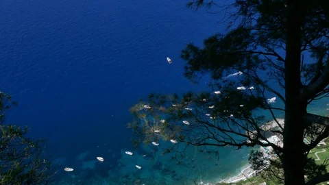 Tilt down from silhouette tree to luxury boats berth in crystal clear sea water Stock Footage 112346892