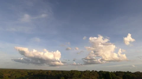 Tilt down from Sky on Amazon Rainforest Canopy, Peru, South America Stock Footage 130877476