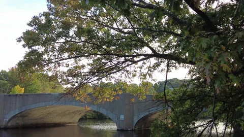 TILT DOWN SKY TO BRIDGE 스톡 동영상 187106124