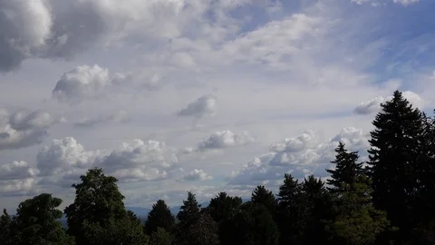 Tilt Down from Sky to Military Headstones Video stock 111449953