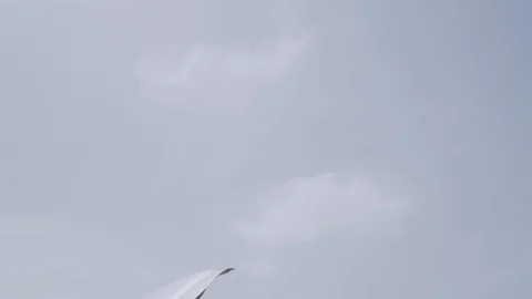 Tilt down from sky to an open car trunk on the side of the road Stock Footage 107543404