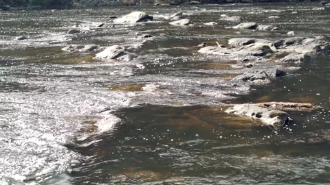 Tilt down Slow Motion Coosawattee River Ellijay Georgia 4k Stock Footage 260743086