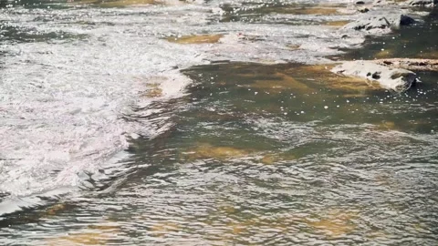 Tilt down slow motion Cosawattee River Day Ellijay Georgia 4k Stock Footage 260743084