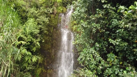 Tilt Down of Small Waterfall Video stock 150468319