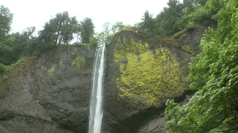 |Tilt Down Small Waterfall in Western Washington Stock Footage 54714352