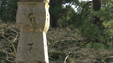 Tilt down on stone markers at Okubo-ji Temple, Japan Stock Footage 86806068